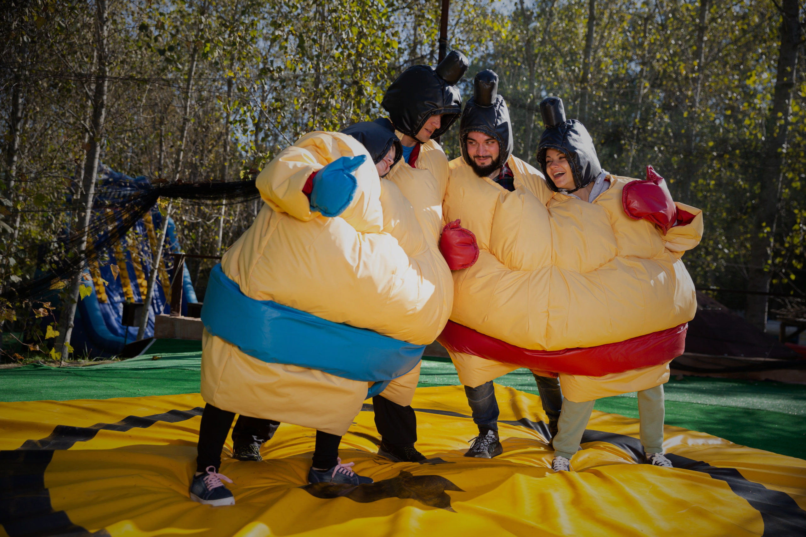 Combat de sumos 12 Combat de sumos 12