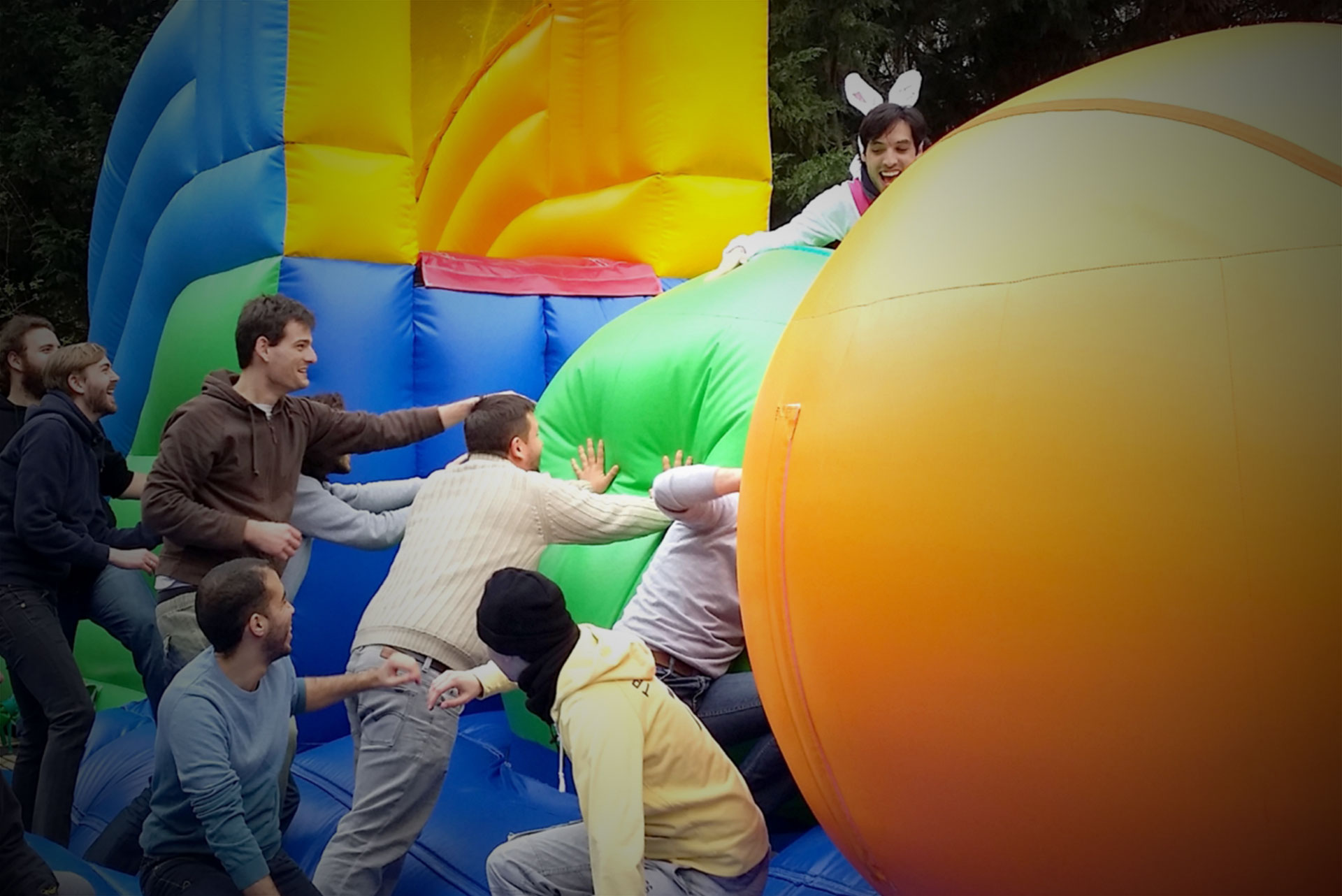 Wipeout lapin EVG Wipeout lapin EVG